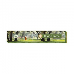 Divine Lama Incenso Green Tree – Masala Premium Naturale