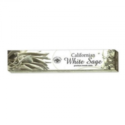 Salvia Bianca Incenso Green Tree – Californian White Sage