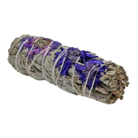 Salvia Bianca della beatitudine Smudge - (10-12cm - 25-30gr.)