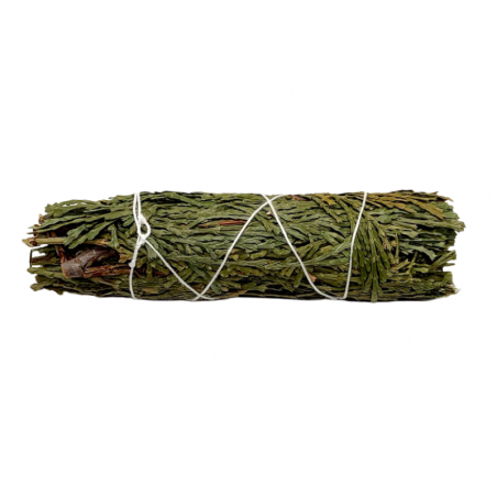 Ginepro Smudge - (10-12cm - 25-30gr.)