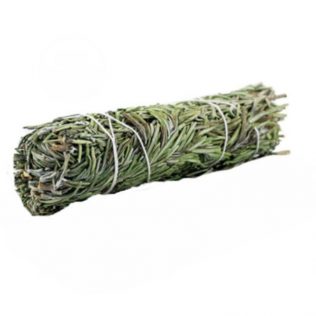Salvia di Montagna Smudge - (10-12cm - 20-25gr.)