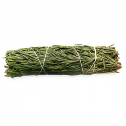 Rosmarino Smudge Rosemary- (10-12cm - 25-30gr.)
