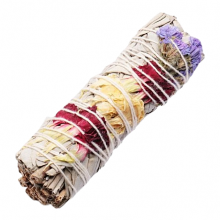 Salvia Bianca Spirito Felice Smudge White Sage - (10-12cm - 25-30gr.)