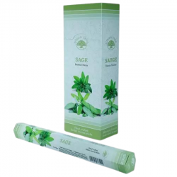 Salvia 20 Bastoncini Incenso Green Tree Agarbatti