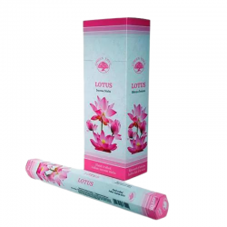 Fiori di Loto 20 Bastoncini Incenso Green Tree Agarbatti