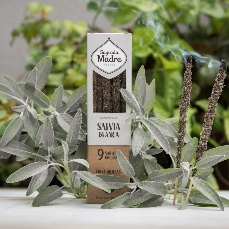 Salvia Bianca - 9 Bastoni Incenso Extra Premium in Erbe 100% Naturali -  Sagrada Madre