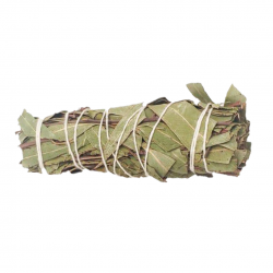 Eucalipto Smudge Eucalyptus - (10-12cm - 25-30gr.)