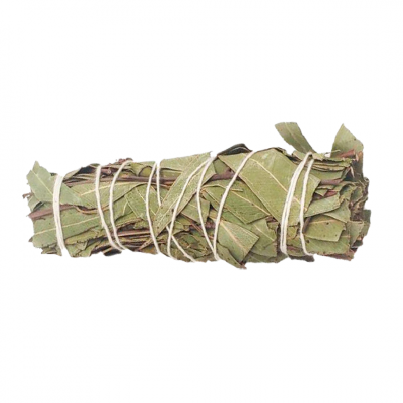 Eucalipto Smudge Eucalyptus - (10-12cm - 25-30gr.)