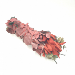 Sangue di Drago & Eucalipto Smudge Dragon Blood - (10-12cm - 20-30gr)