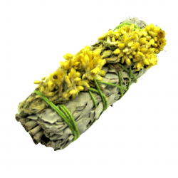 Salvia Bianca & Verbasco Giallo Smudge White Sage & Verbascum Yellow - (10-12cm - 30-40gr.)
