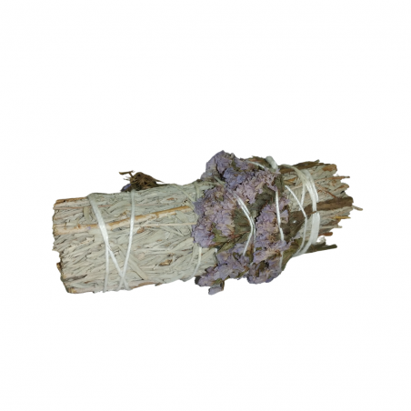 Salvia Blu, Limonio Sinuato Smudge Blue Sage - (10-12cm - 40-50gr.)