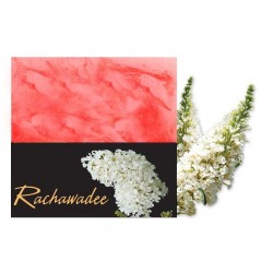 Sapone alla Glicerina - Ratchwadee