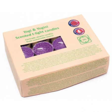 Lavanda Lumini alla stearina profumati - Set da 24