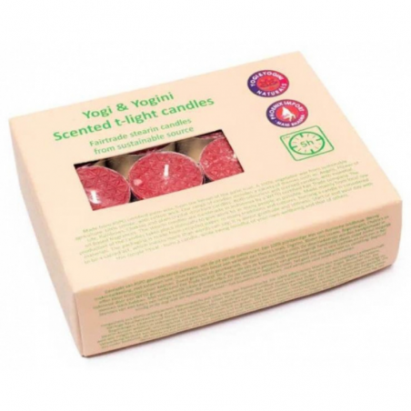 Rosa Lumini alla stearina profumati - Set da 24
