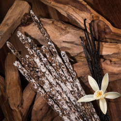 Palo Santo & Vaniglia - 8 Bastoni Smudge 100% Naturali - Sagrada Madre 2