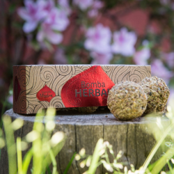 Purificazione 3 Bomba 10 Erbe 100% Naturali Smudge Sagrada Madre 2