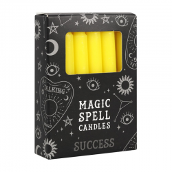 Successo Set 12 candele per incantesimi in cera - Giallo