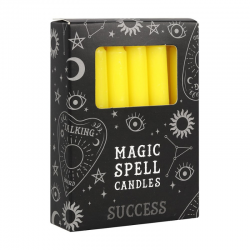 Successo Set 12 candele per...