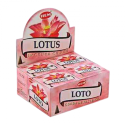 Loto 10 Coni Incenso Hem...