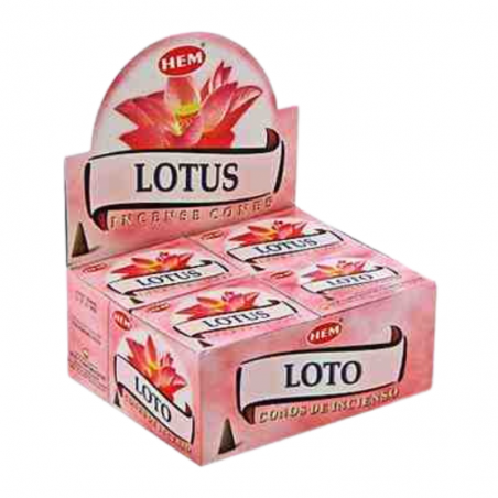 Loto 10 Coni Incenso Hem Lotus con supporto