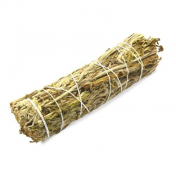 Salvia Verde Smudge - (10-12cm - 25-35gr.)