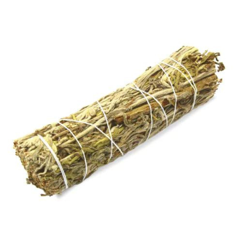 Salvia Verde Smudge - (10-12cm - 25-35gr.)