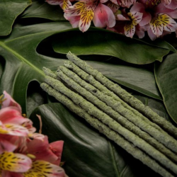 Tè Verde e Champa - 6 Bastoni Incenso Botanico 100% Naturali - Sagrada Madre 2