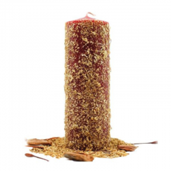 Candela Magnetica con Frutto della Passione e Semprevivo – 16x5,5 cm