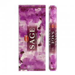 Salvia 20 Bastoncini incenso Hem Masala
