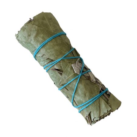 Salvia Bianca ed Eucalipto Smudge White Sage & Eucalyptus - (10-12cm - 20-25gr.)
