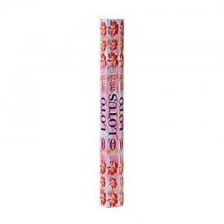 Loto 20 Bastoncini incenso Hem Masala 2