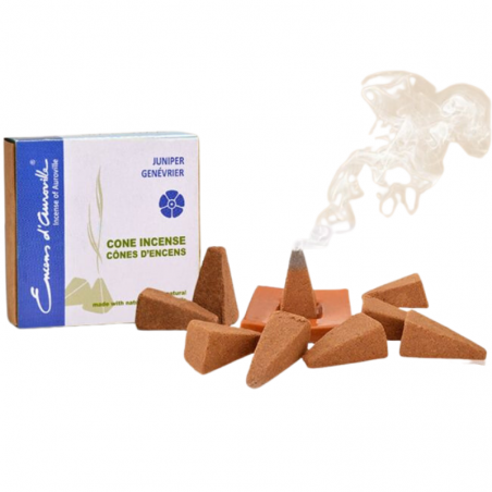 Ginepro 10 Coni incenso Maroma d'Auroville Juniper