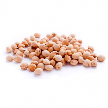 Fascia con noccioli di ciliegia - (58 x 13 x 5,5cm) - (900 - 970gr.) - Gatti Cartoon