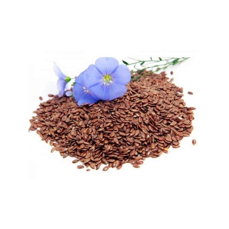 Fascia con Semi di Lino - (58 x 13 x 4cm) - (900 - 970gr.) - Gatti Cartoon