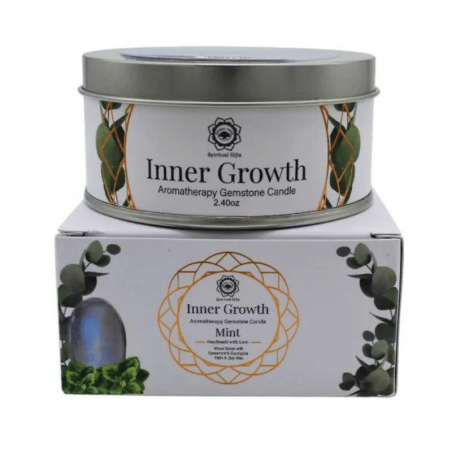 Menta Verde ed Eucalipto Candela profumata con Pietra di Luna - Crescita Interiore - Green Tree - 70gr.