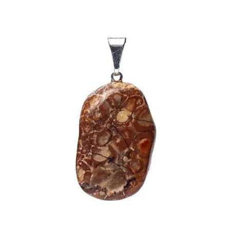 Pendente Diaspro Occhio di Uccello Pietra Naturale forata - (± 25mm)