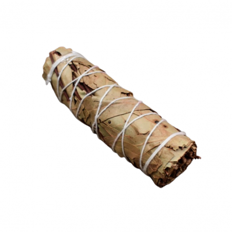 Alloro Smudge Laurel - (10-12cm - 20-25gr.)