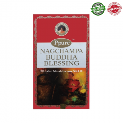 Benedizione del Buddha Bastoncini incenso Ppure Nag Champa Buddha Blessing Herbal Masala