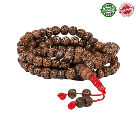 Mala Tibetano 108 Semi di Rudraksha Lucidata da 6mm