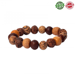 Braccialetto con 18 semi naturali di Bodhi Lucidati e Grezzi da 12mm su filo elasticizzato