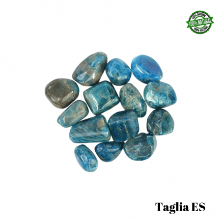 Apatite Blu Pietra Burattata Extra Small (± 10/18mm - ± 4/8gr.) - Qualità A