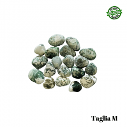 Agata Albero Pietra Burattata Medium (± 25/35mm - ± 19/29gr.) - Qualità AB