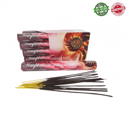 Frutta Tropicale 20 Bastoncini Incenso Padmini Tropical Fruit Masala