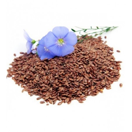 Cuscino con semi di lino - (32 x 19cm) - (650 - 780gr.) - Fiori Colorati