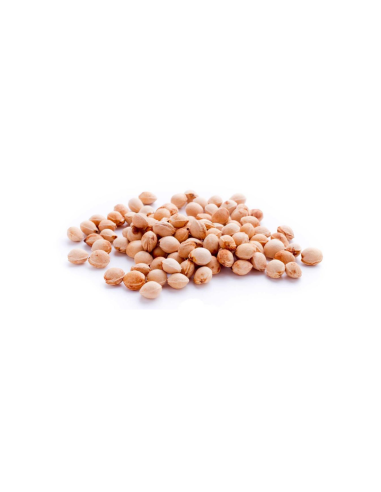 Cuscino con noccioli di ciliegia - (32 x 19 x 5cm) - (570 - 710gr.) - Cagnolini