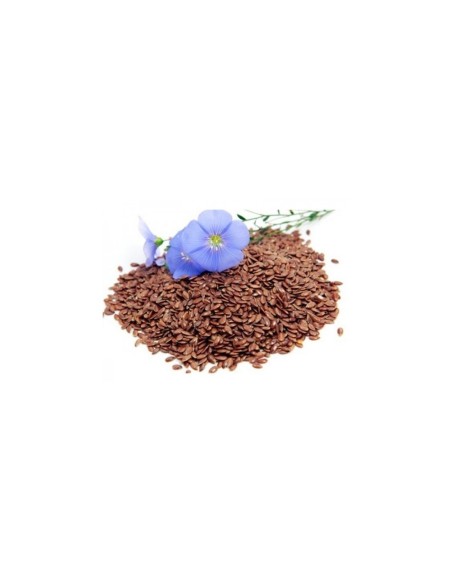 Cuscino con semi di lino - (32 x 19cm) - (650 - 780gr.) - Cagnolini