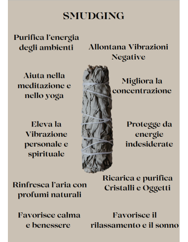 Smudge Salvia Bianca 10–12 cm – Purificazione Naturale