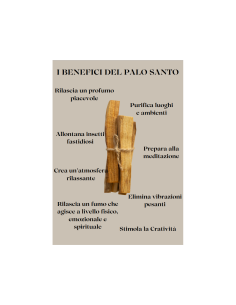 Box Completa Palo Santo | Tutto il necessario 2