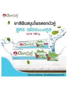 Dentifricio – Menta & Eucalipto Twin Lotus Fresh 100 g