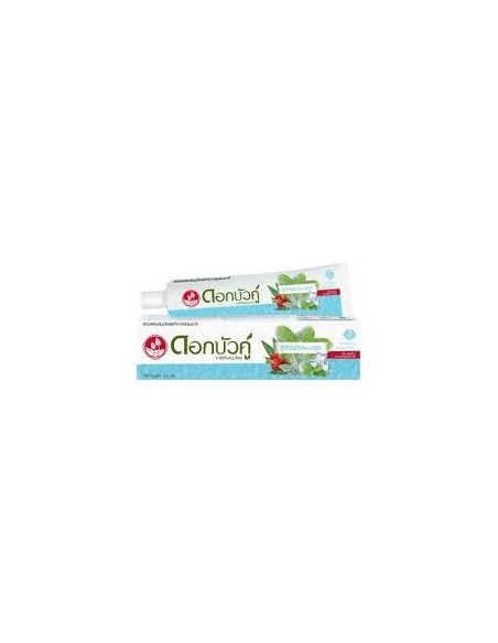 Dentifricio – Menta & Eucalipto Twin Lotus Fresh 100 g